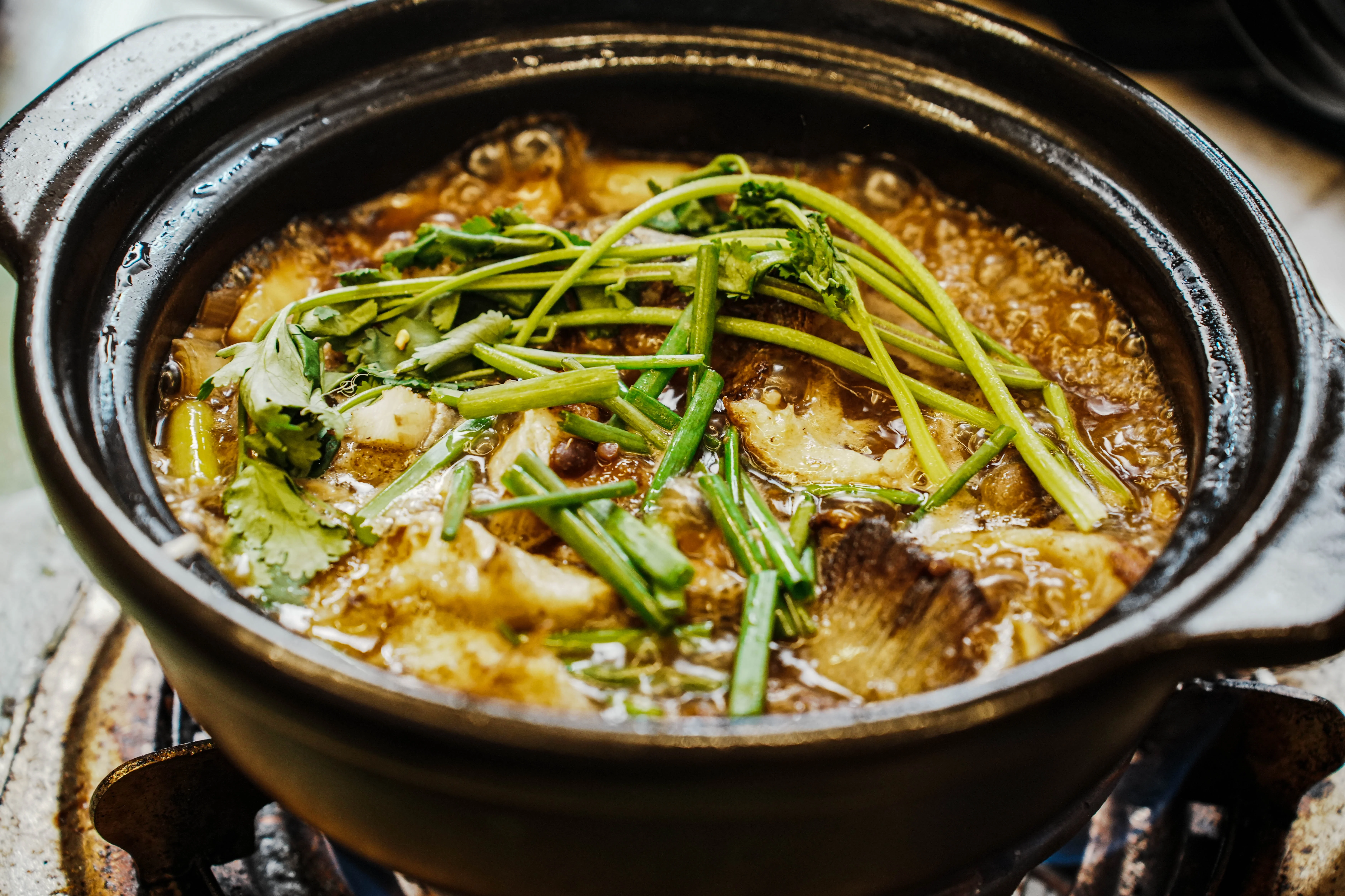 菌菇煲鲈鱼